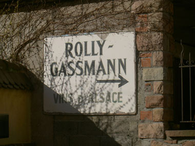 Rolly gasmannw